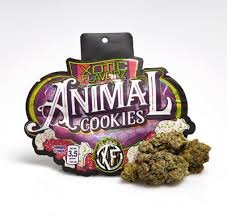 animal cookies - Cannabis Fast Delivery Shop animal cookies