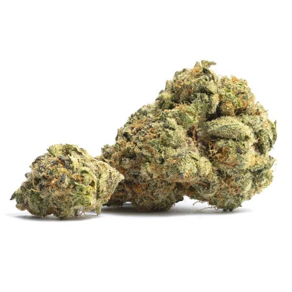 kush cookies weed strain - kush cookies weed strain