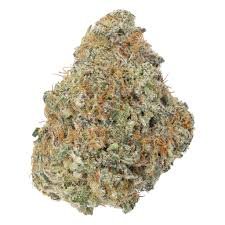 biscotti cake weed - Cannabis Fast Delivery Shop biscotti cake weed